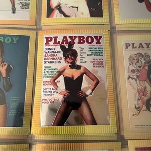 90s Vintage Playboy Chromium Cover Card Collectors Sandra Bernhard 1995 #92